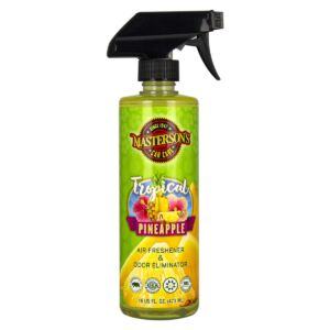 tropical pineapple air freshener & odor eliminator