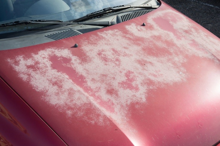 why you need ceramic coating