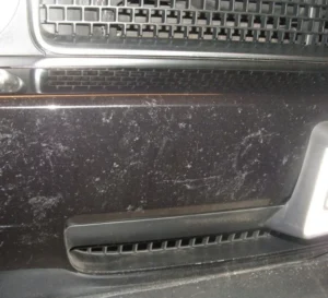black car bug stain etching