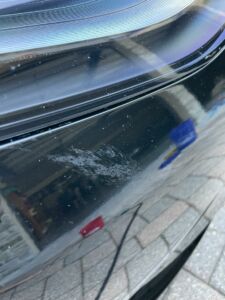bug stain on car